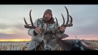 MONSTER ALBERTA Whitetail