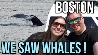 Whale watching Boston + Aquarium & View Boston Observation Deck