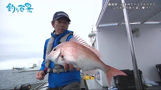 【釣り百景】#339 静岡県・沼津沖でのコマセマダイ こだわりの技で狙い撃つ！