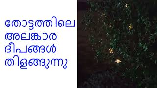 തോട്ടത്തിലെ അലങ്കാര ദീപങ്ങൾ തിളങ്ങുന്നു