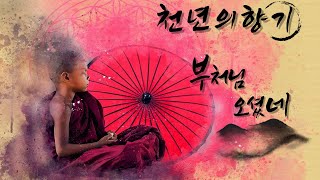 #찬불가 #불교음악 부처님오셨네,찬불가TV, BUDDHA MUSIC, Buddhism Song, korean Buddhism song, 천년의 향기 - 부처님오셨네