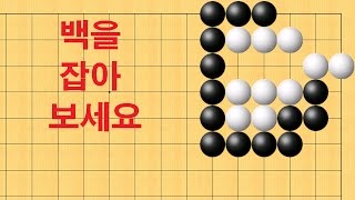 바둑 묘수 사활 - 백을 못 잡으면 만년하수 입니다