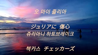 (한글 번역,설명) ジュリアに傷心 오마이 줄리아 86년전성기(체커스, チェッカーズ、checkers)공연실황