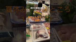 夏休みの食費検証中第五弾