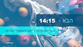 ערוץ מאיר | שידור חי