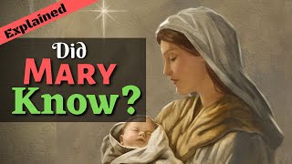 Mary Did You Know? - Christmas Song Review