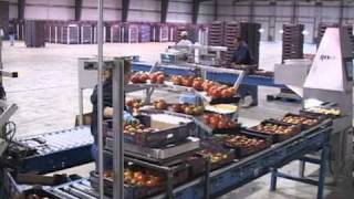 Ontario Greenhouse Vegetables Feed North America Video