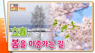 매년 찾아오는 반가운 손님 [일상공감365]