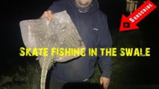 Thornback ray fishing in the swale near the kings ferry bridge