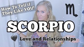 SCORPIO // How To Tell If They Like YOU ❤️