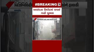 Anand News | આણંદના ઉમરેઠમાં છવાઈ ગાઢી ધુમ્મસ | Fogg | Weather Update | Gujarat