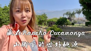 两万尺占地，山景学区大平层，只要100万？｜洛杉矶未来最有潜力城市｜藏在Rancho Cucamonga山脚下的世外桃源，一步一景，满园珍宝，向往的生活