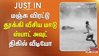 #Justnow : மஞ்சு விரட்டு - தூக்கி வீசிய மாடு.. ஸ்பாட் அவுட் - திகில் வீடியோ