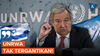 Kecam Israel yang Larang Kegiatan UNRWA, Sekjen PBB: UNRWA Tak Tergantikan!