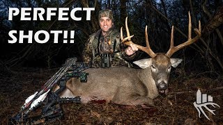 HUGE 8pt Buck in Atlanta!! Suburban Bowhunter