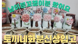 7월 4일 토끼네화분 # 냥이분 꼬챙이 입고 토끼네화분  5만이상 택비 무료