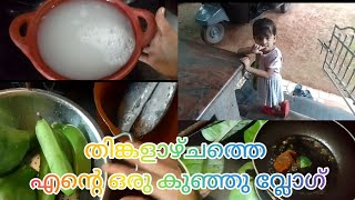 തിങ്കളാഴ്ചത്തെ എന്റെ ഒരു കുഞ്ഞു വ്ലോഗ് 🤗 Kerala village life story 👍🏻