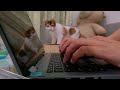 Work from Home Office ASMR | Keyboard Typing Sounds for Relaxing