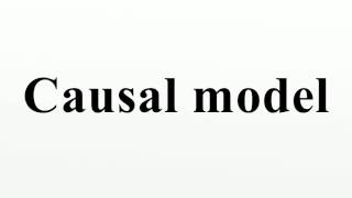 Causal model