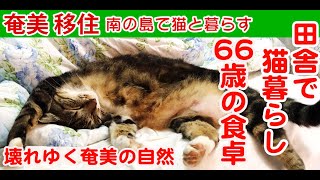 南の島で猫と暮らす。田舎暮らしのスローライフ。ネコと田舎暮らし。66歳の食卓。無農薬、家庭菜園で贅沢な朝食、牛肉のタイサラダ。壊れゆく奄美の自然。奄美大島に移住。