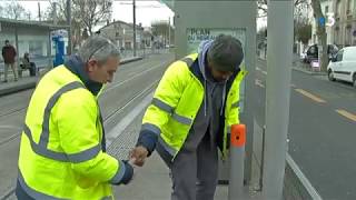 Bordeaux veut devenir la première ville sans mégot de France