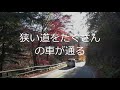 いわき市夏井川渓谷｜紅葉狩り｜一人散策｜晩秋の小川町｜暮らしを楽しむ｜軽々と生きる｜自然の営み｜小さな旅｜ストレス発散｜ささやかな発見｜心の栄養｜癒し｜田舎の頑固おやじ