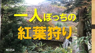 いわき市夏井川渓谷｜紅葉狩り｜一人散策｜晩秋の小川町｜暮らしを楽しむ｜軽々と生きる｜自然の営み｜小さな旅｜ストレス発散｜ささやかな発見｜心の栄養｜癒し｜田舎の頑固おやじ