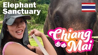 A Must Do?: Our Elephant Sanctuary Experience in Chiang Mai, Thailand 🇹🇭