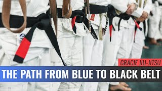 The Path from Blue to Black Belt (Master Cycle)