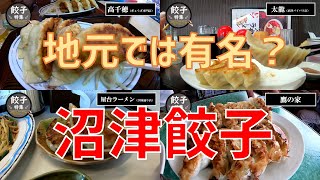 【沼津絶品餃子】地元民しか知らない「沼津の美味しい店６選」　ご当地餃子が最高過ぎた！バイク ひとり旅 vol.74