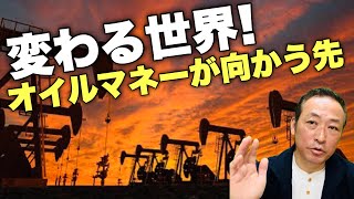 【グローバルサウス】100年後の世界を睨む世界最大級の政府系ファンド”アプダビ投資庁”の教え