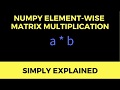 Element Wise Multiplication in Python Numpy