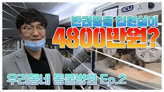 반려동물 입원실이 4800만원이라고? 잘 나간다는 그 병원 찾아가봤습니다