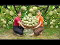 Harverst Custard Apple With My Sister (Phuong-Free Bushcraft) Go To Market Sell. Dang Tieu Huyen