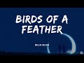 Birds of a feather • BIllie Eilish🎵(Lyrics)