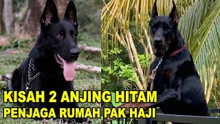 KISAH ANJING HITAM PENJAGA RUMAH PAK HAJI