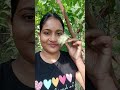 পুরো গাছ ফুলে ভরে গেছে 🌷🌺🌱 short viralvideo shortfeeds gardening plants trendingvideo