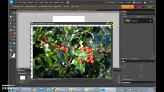 Making a Card in Photoshop Elements 8