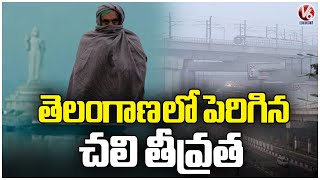 Thick Fog Covers Telangana State | Increased cold intensity | V6 News