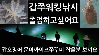 12월에 갑오징어 쭈꾸미 워킹낚시 갑오징어 문어싸이즈 쭈꾸미잡을분 보셔요   졸업하고 싶어요 신진항