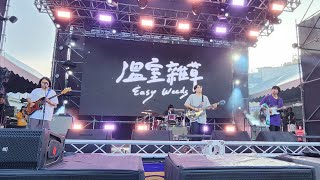 [4K 60fps] 溫室雜草 Easy Weeds @台秋祭 (2024.07.28)