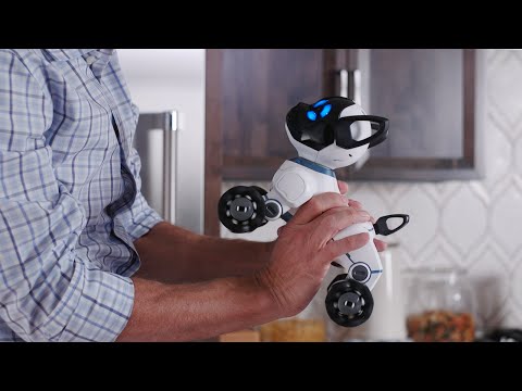Meet CHiP: The World's First Lovable Robot Dog Meet CHiP: The World's First Lovable Robot Dog
