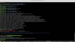 Eclipse Pydev Remote Debugger Use