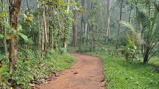 Kerala's Most Beautiful Village