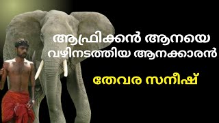 തേവർ സനീഷ് story | thevar sanish  mahout story