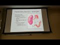 gu 15 jan lectures 8 and 9