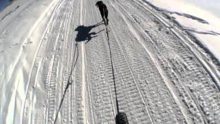 BikeJoring on Snow