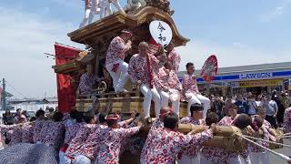 【HD高画質】令和元年 寛弘寺 だんじり 7 新天皇陛下御即位奉祝祭 南河内だんじり祭 2019年‎5月‎12日