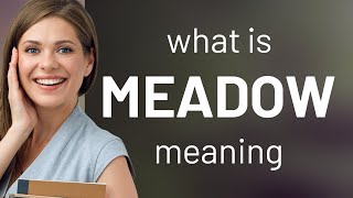 Meadow • MEADOW definition