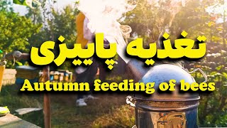 Autumn feeding of bees asmr . تغذیه پاییزی